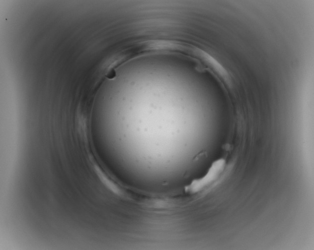 X0000114071041200910131202