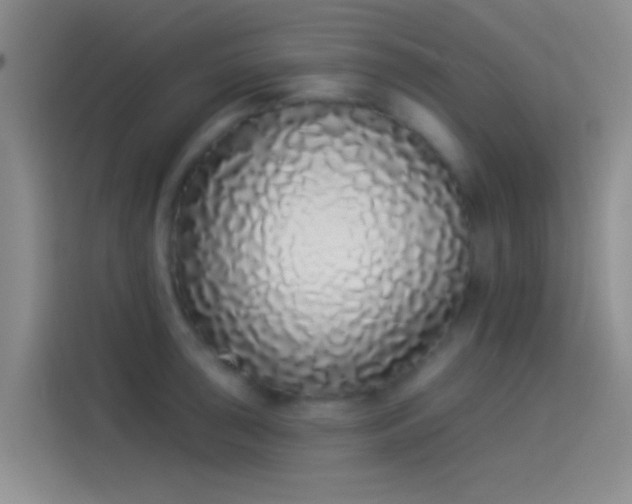 X0000114071043200910131202