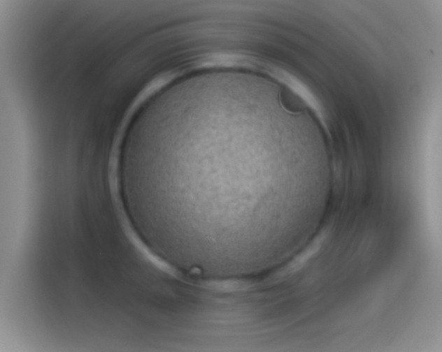 X0000114071045200910131202