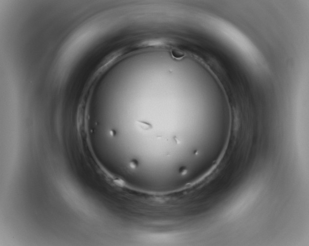 X0000114071052200910131202