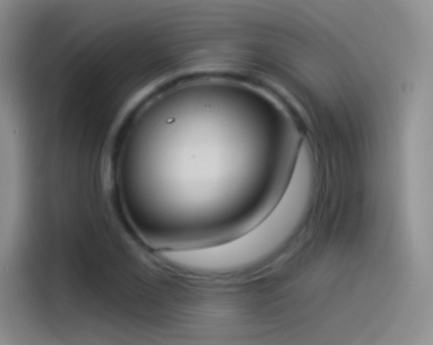 X0000114071069200910131201