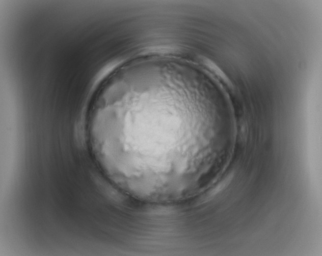 X0000114071071200910131201