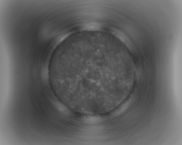 X0000114071074200910131201