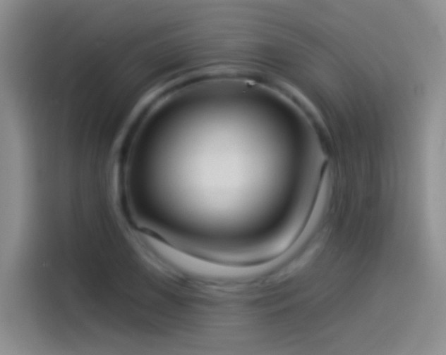 X0000114071075200910131201