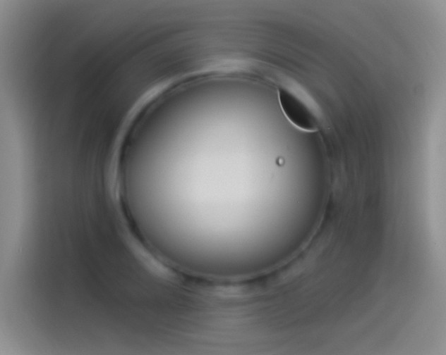 X0000114071080200910131201