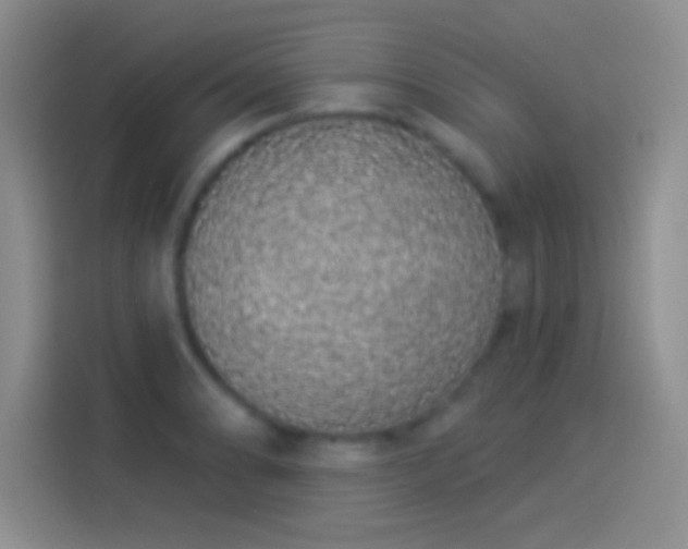 X0000114071086200910131201