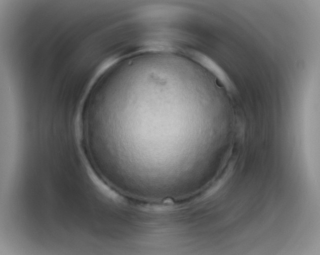 X0000114071095200910131201