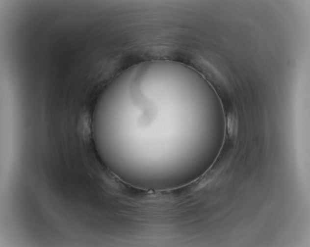 X0000114071107200910131200