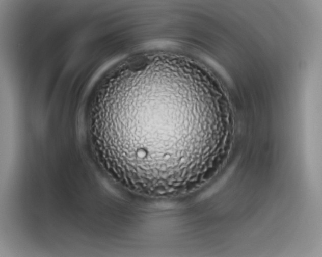 X0000114071117200910131200