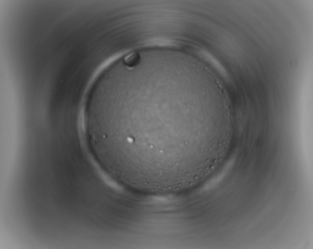 X0000114071125200910131200