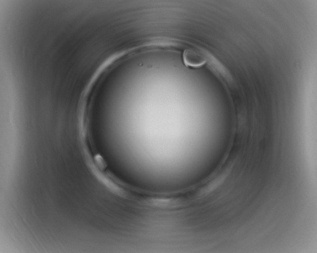 X0000114071132200910131200