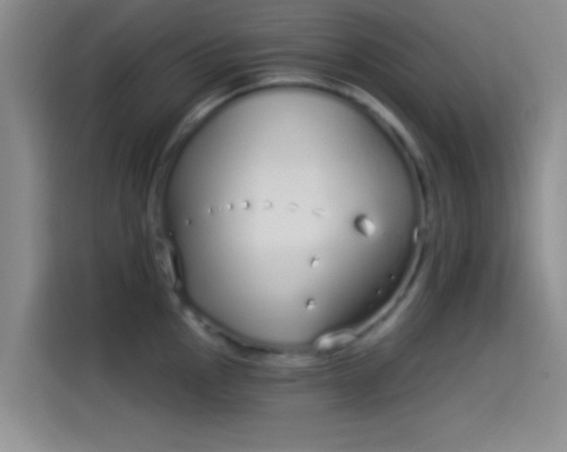 X0000114071145200910131200