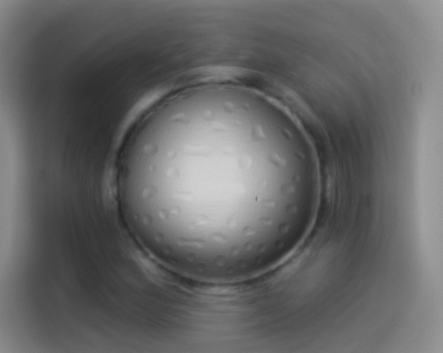 X0000114071164200910131200