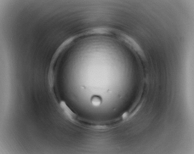 X0000114071180200910131159