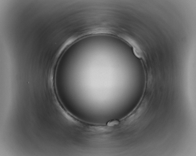 X0000114071197200910131159