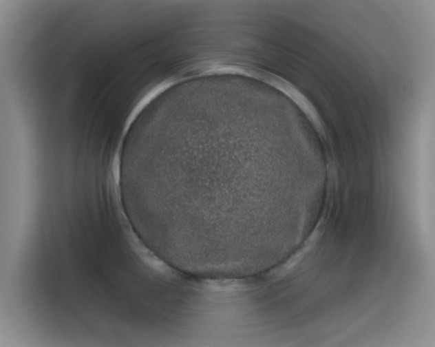 X0000114071198200910131159