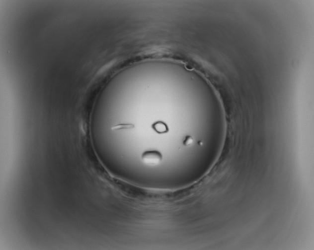 X0000114071206200910131159