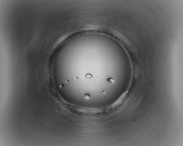 X0000114071208200910131159