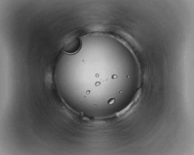 X0000114071209200910131159