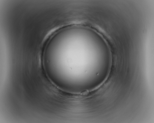 X0000114071214200910131159