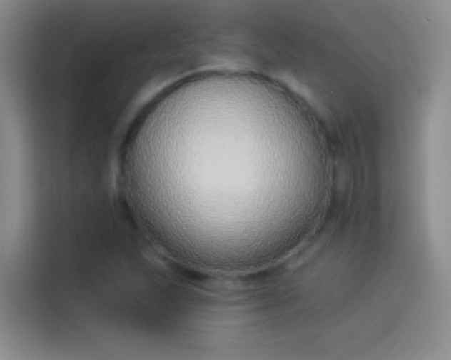 X0000114071215200910131159