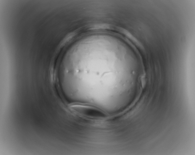 X0000114071221200910131159