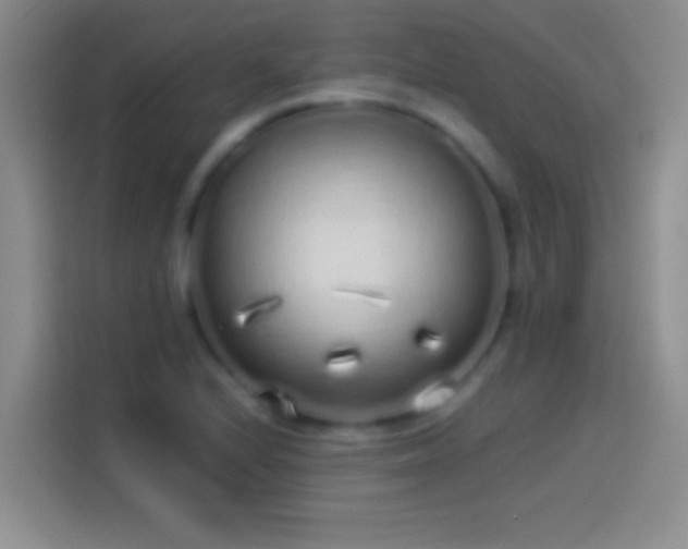 X0000114071224200910131159