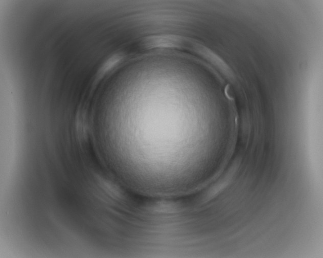 X0000114071226200910131159