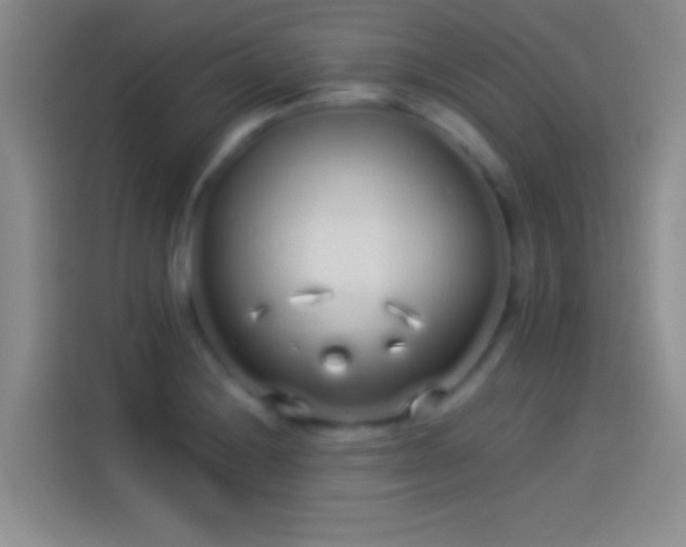 X0000114071228200910131159