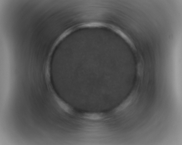 X0000114071229200910131159