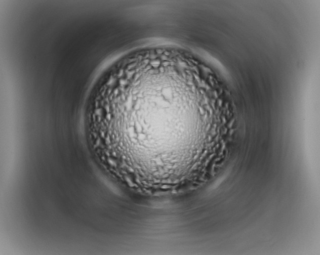 X0000114071231200910131159