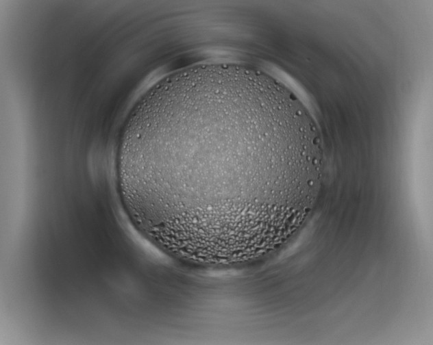 X0000114071243200910131159