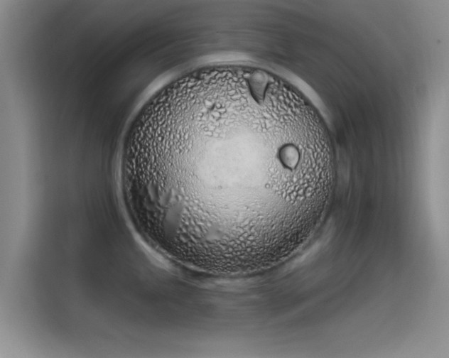 X0000114071245200910131159