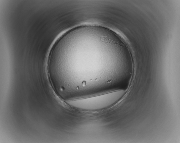 X0000114071248200910131159