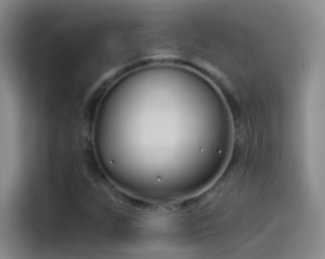 X0000114071255200910131158