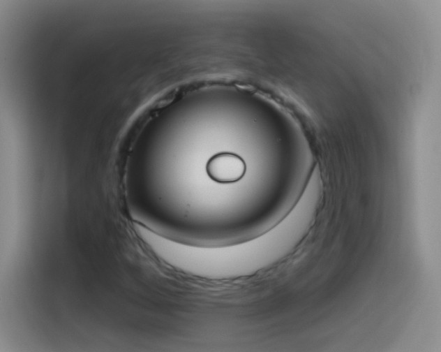 X0000114071256200910131158