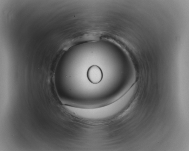 X0000114071257200910131158