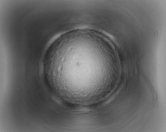 X0000114071263200910131158