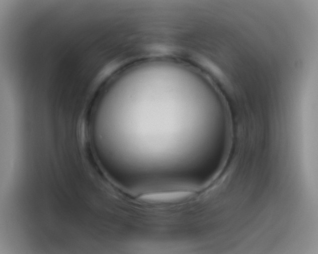 X0000114071267200910131158