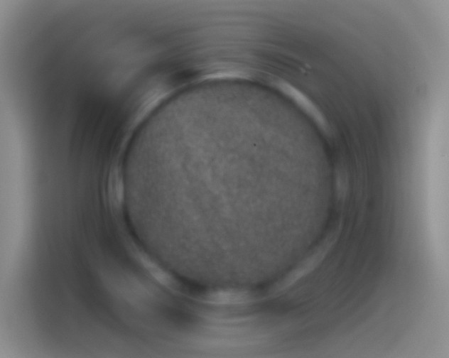 X0000114071274200910131158