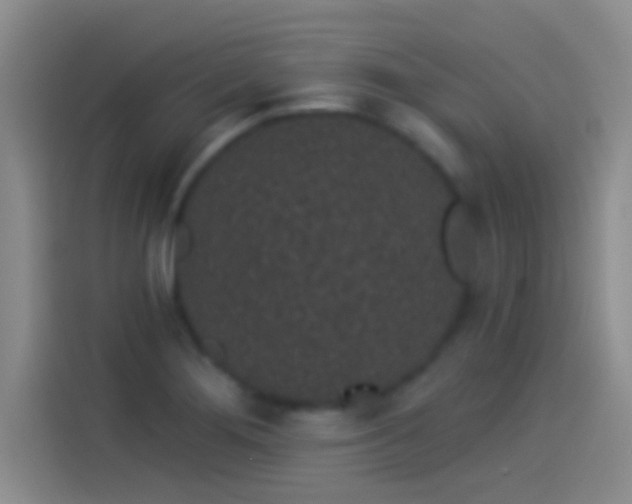 X0000114071276200910131158