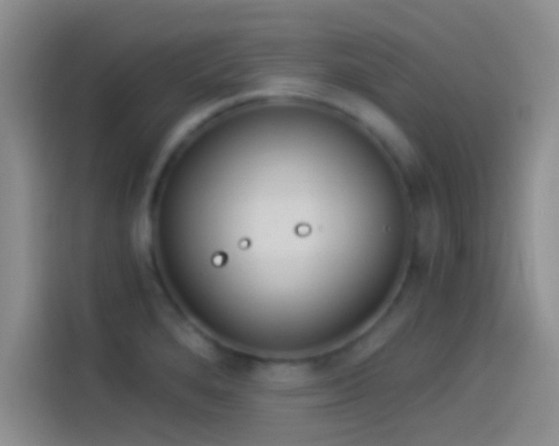 X0000114071280200910131158