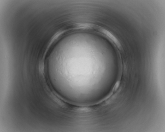 X0000114071283200910131158