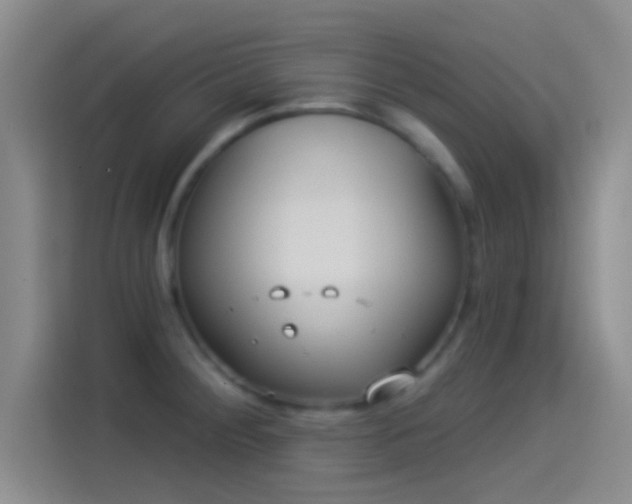 X0000114071284200910131158