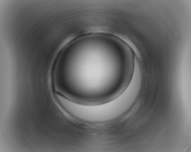 X0000114071285200910131158