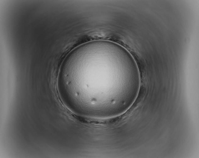 X0000114071297200910131157