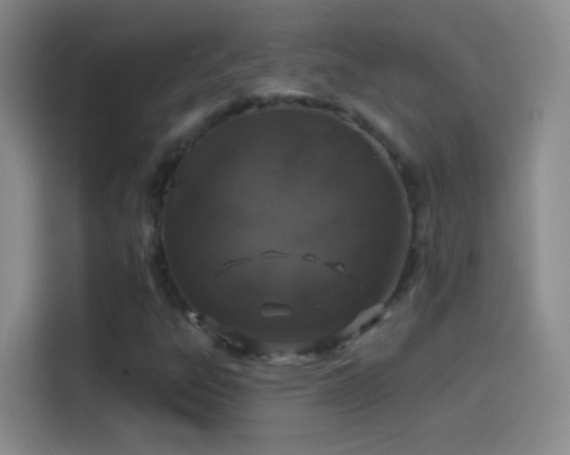 X0000114071303200910131157