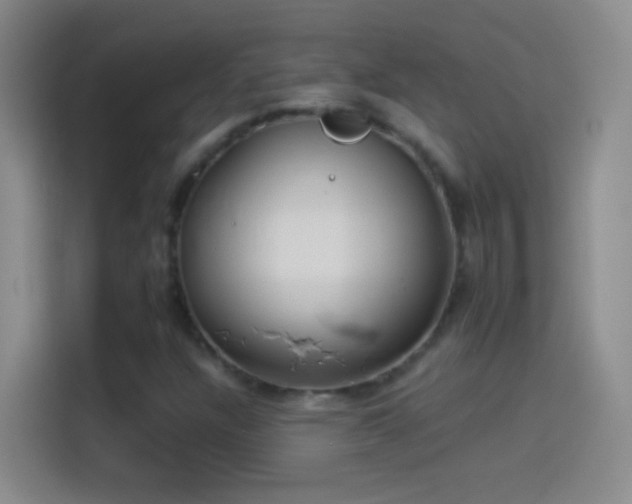 X0000114071304200910131157