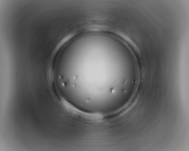 X0000114071317200910131157