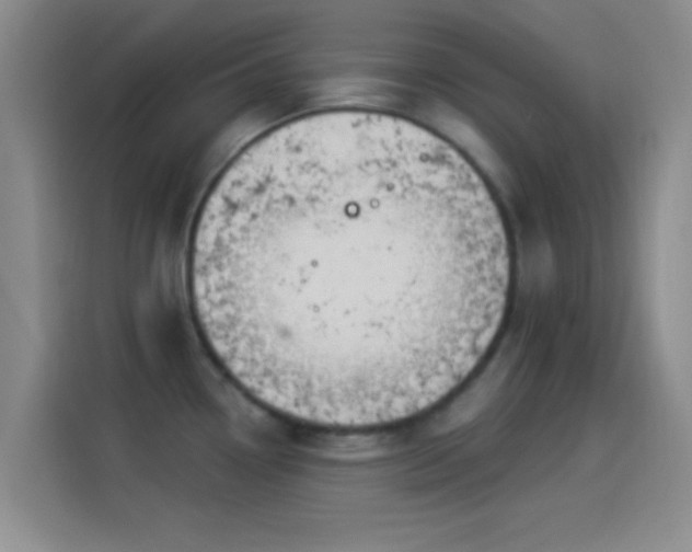 X0000114071338200910131158